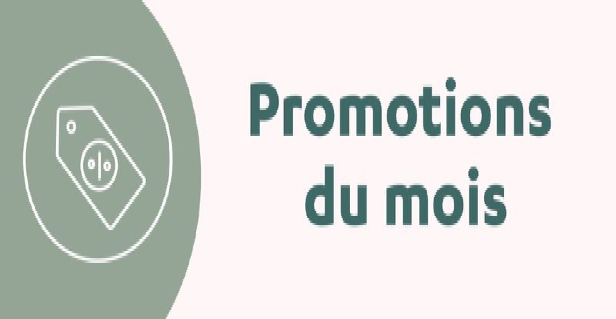 Promotions du mois : ne ratez pas nos meilleures offres !